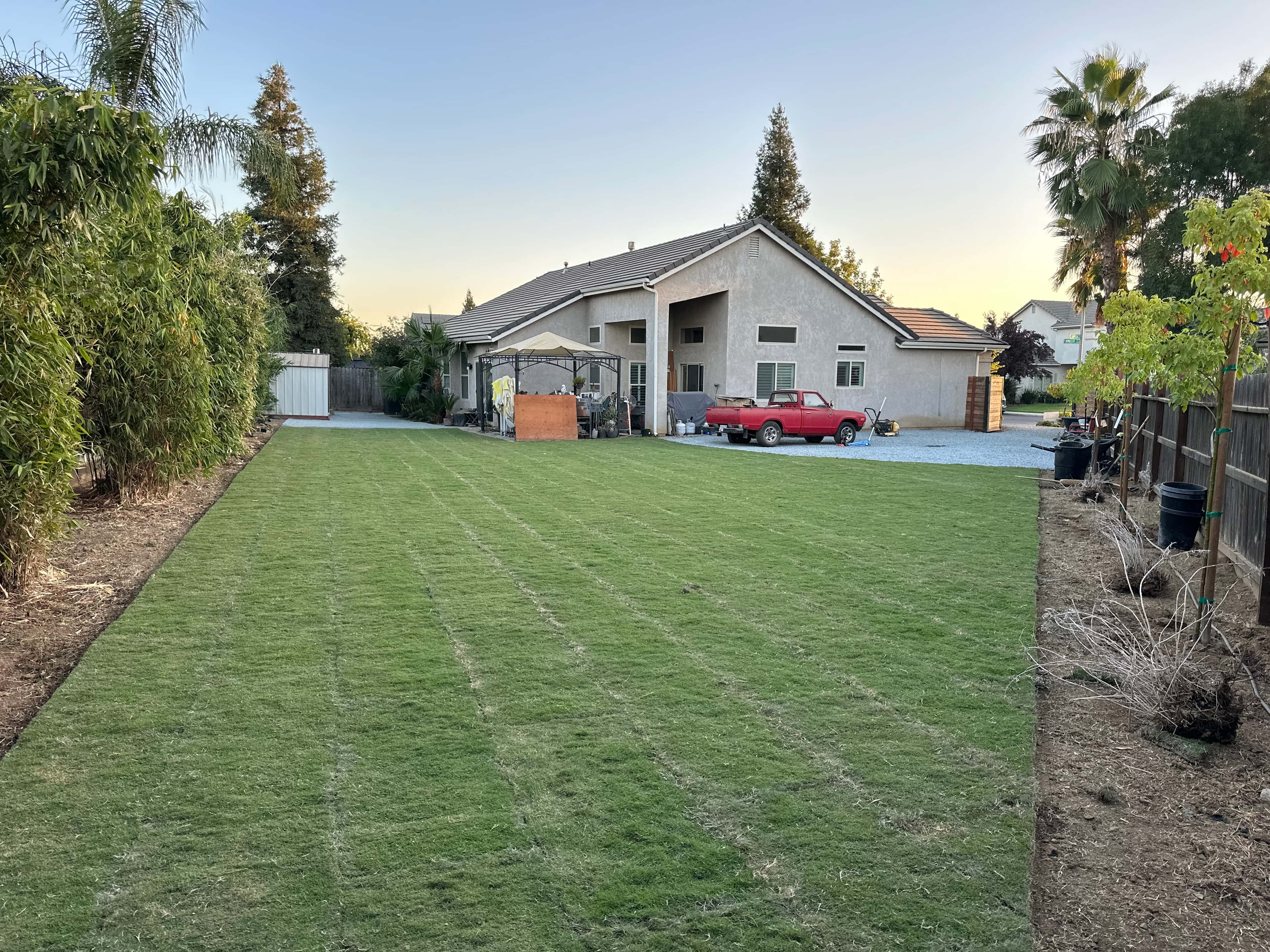 New Sod Installation After