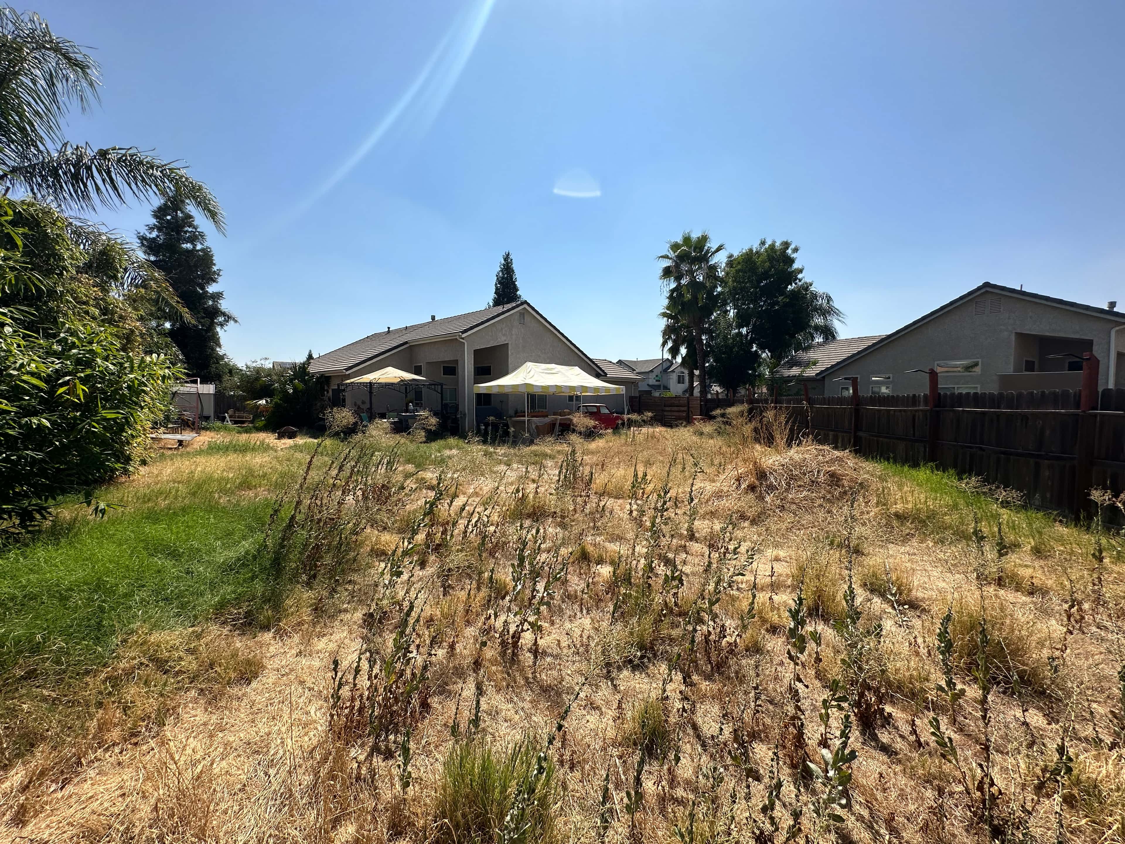 New Sod Installation Before