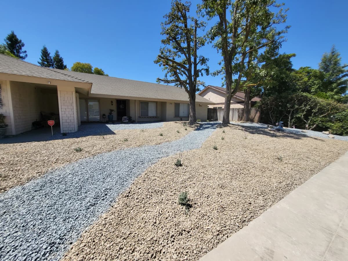 Drought-Tolerant Landscaping Ideas for Central Valley Yards (Beyond Rocks & Cacti)
