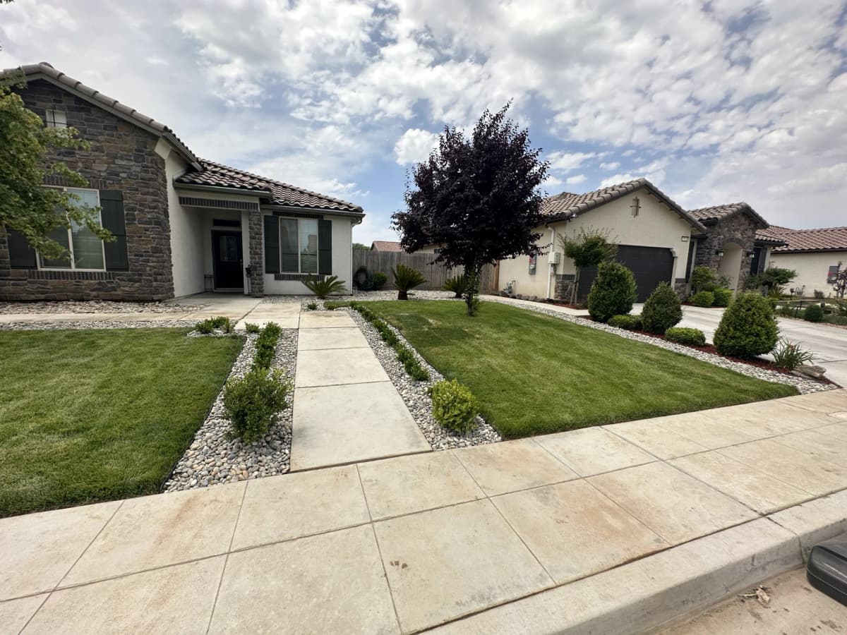 DIY vs Professional Lawn Care in Fresno: Costs, Time & Results Compared